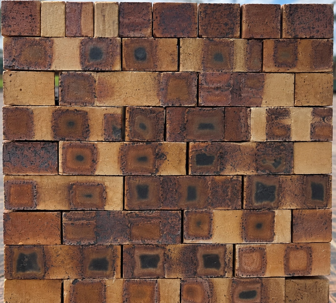 Maxi Facebrick