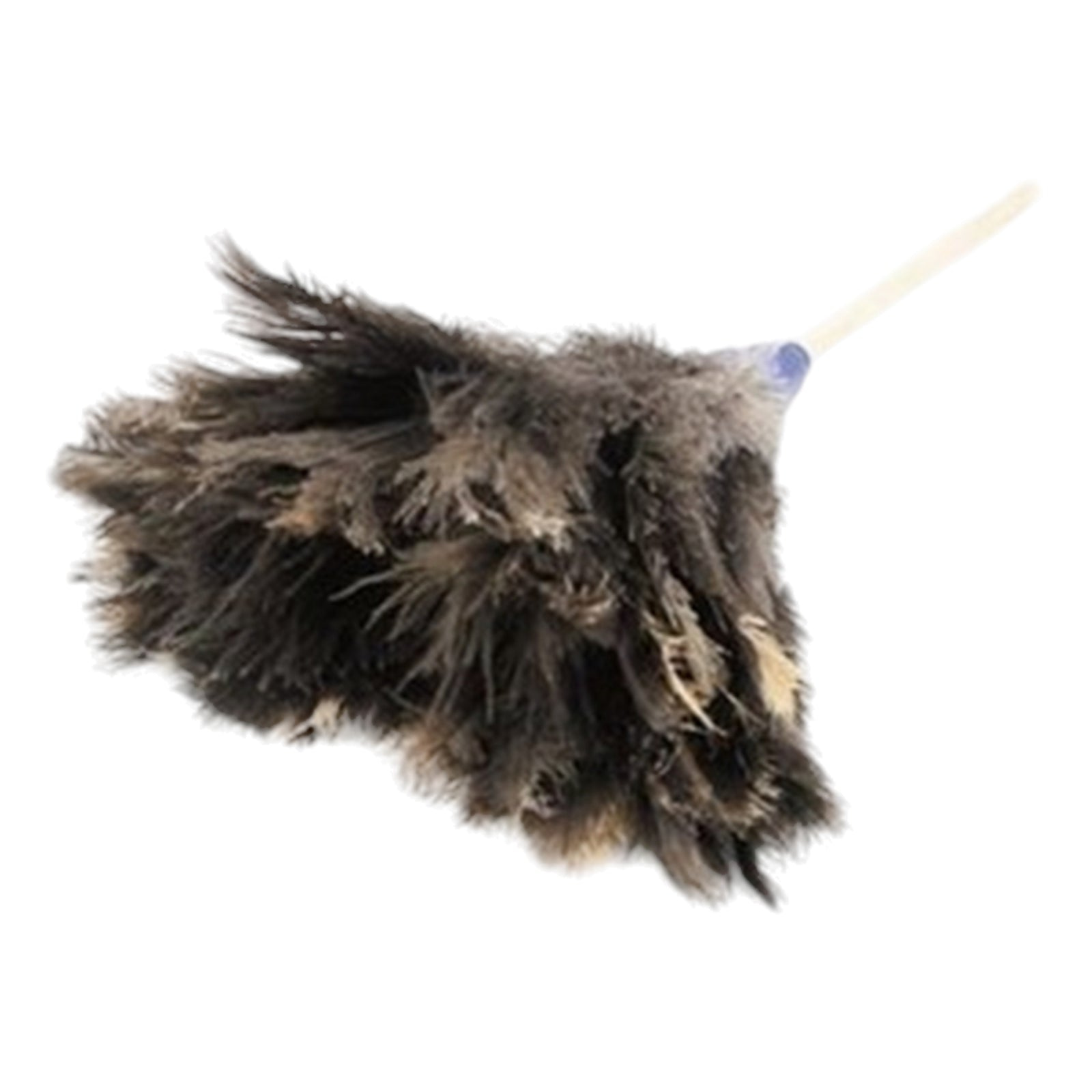 Academy Genuine Ostrich Chick Feather Duster 450mm