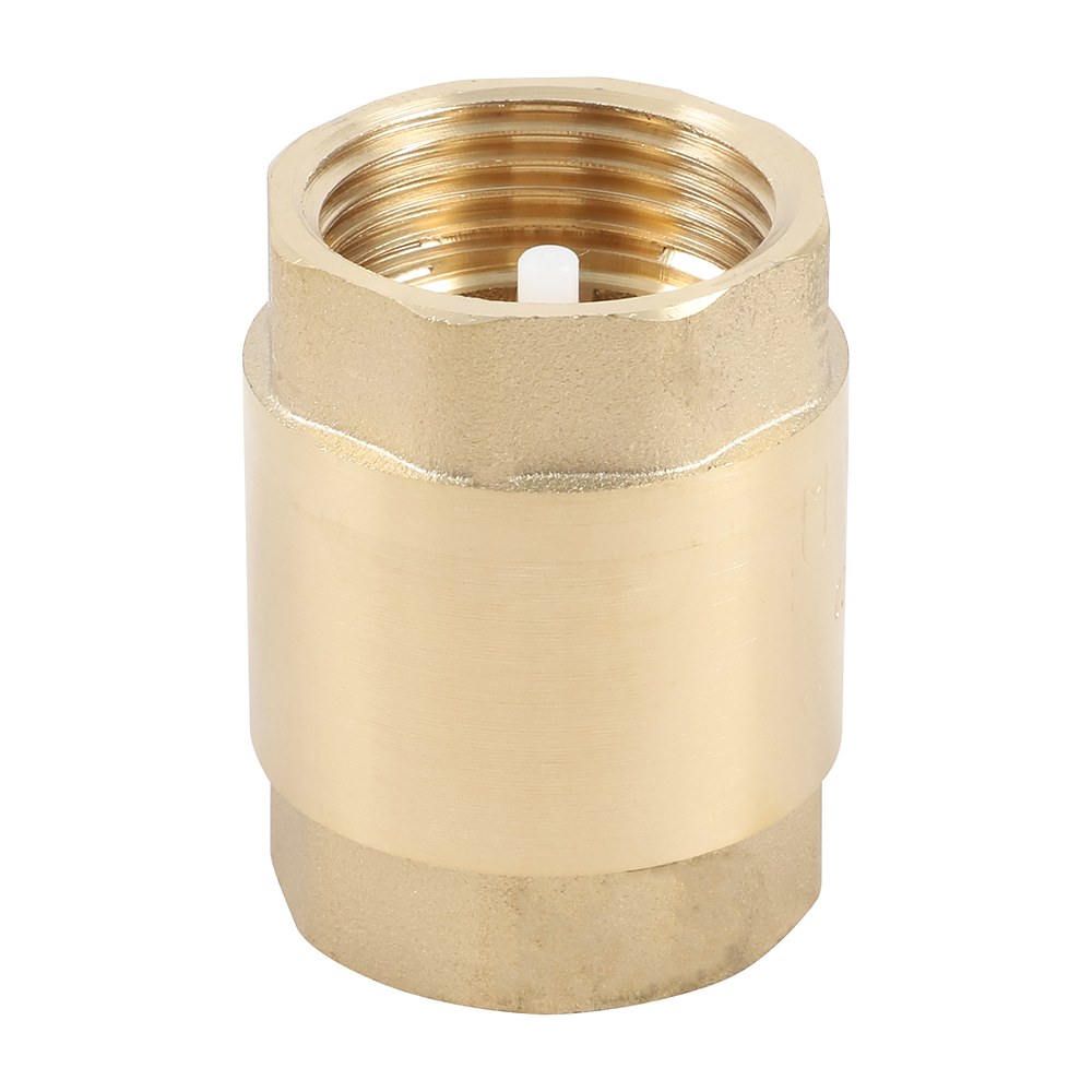 Spring Non-Return Valve 25mm