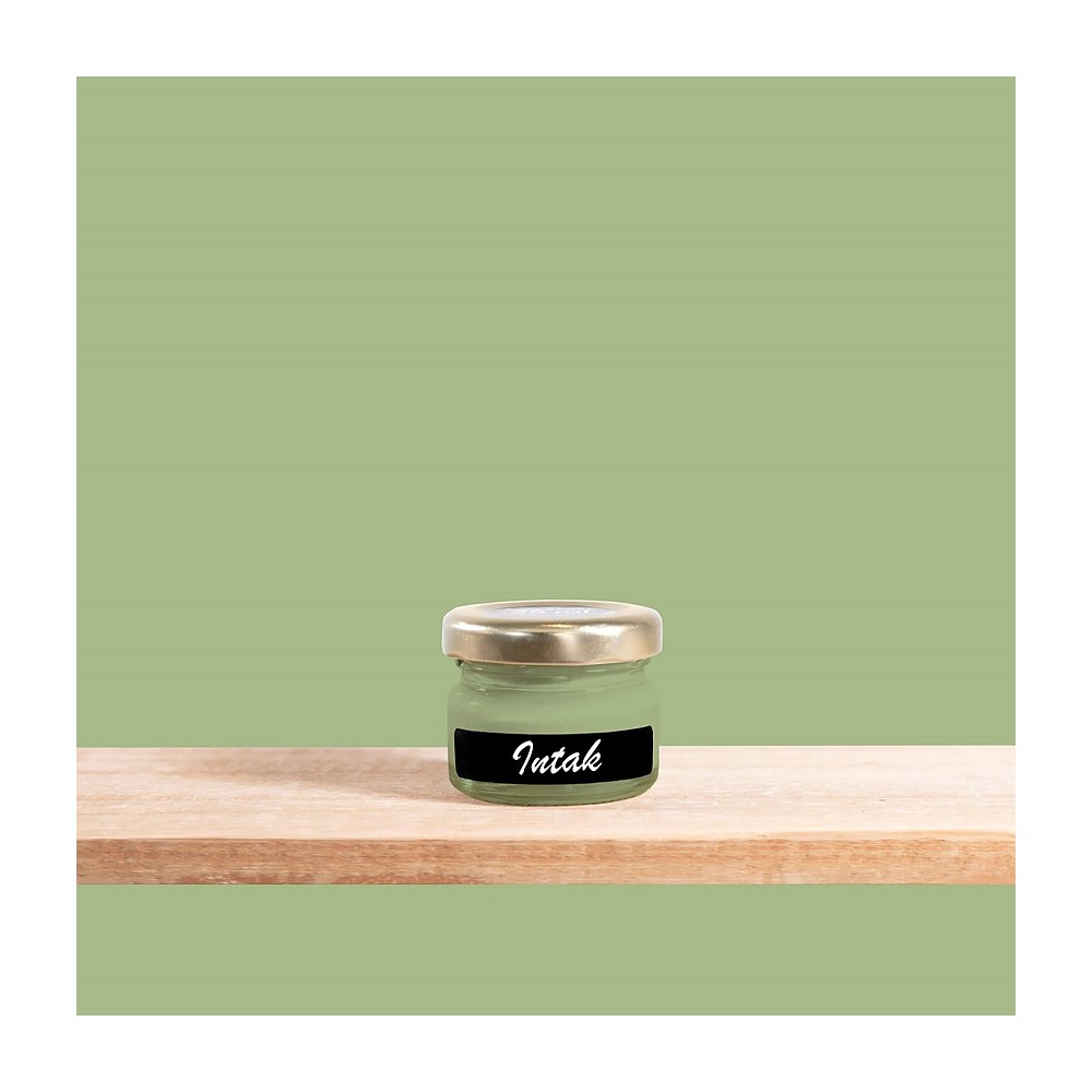 Tjhoko Paint Intak Chalk Paint – 25ml