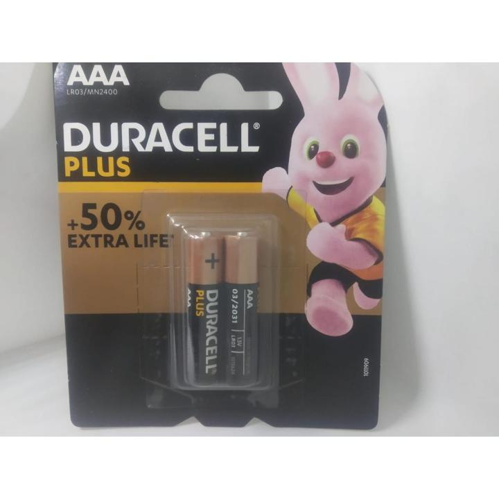 Duracell Plus AAA Alkaline Batteries – 2 Pack